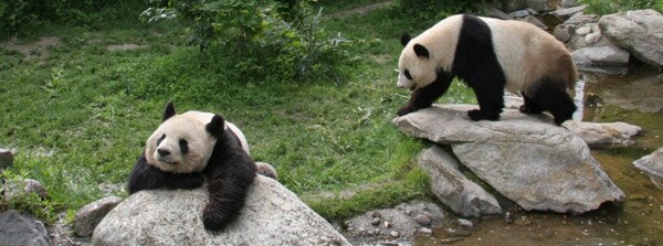Шьонбрун - най-старата зоологическа градина в света (Schonbrunn Zoo)